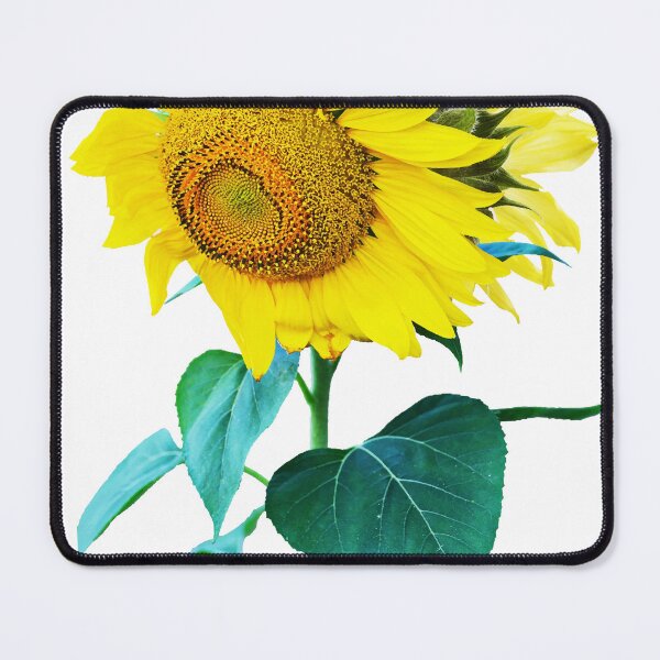 Item preview, Sun Flowers #redbubble #lifestyle designed and sold by 83oranges.com.