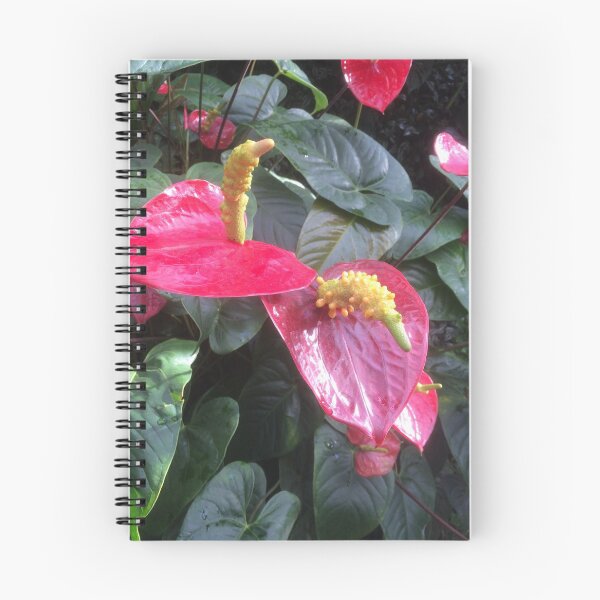 Item preview, Flores CC 6 designed and sold by Angelsgreen.