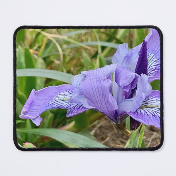 Item preview, Wild Iris designed and sold by Betsy Phillips.
