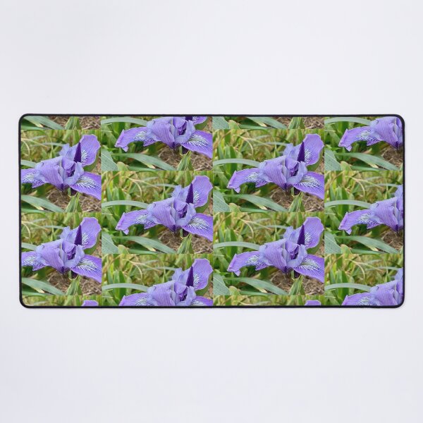 Item preview, Wild Iris designed and sold by Betsy Phillips.