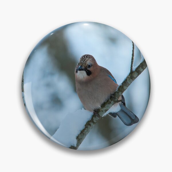 Item preview, Winter jay. Eurasian jay designed and sold by Jouko Lehto Photography.