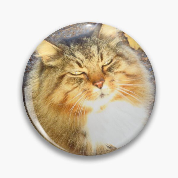 Item preview, The Cat That Got The Cream designed and sold by wiggyofipswich.