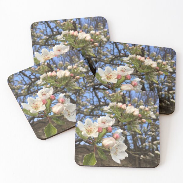 Item preview, White Cherry Blossoms designed and sold by Quoppidou.