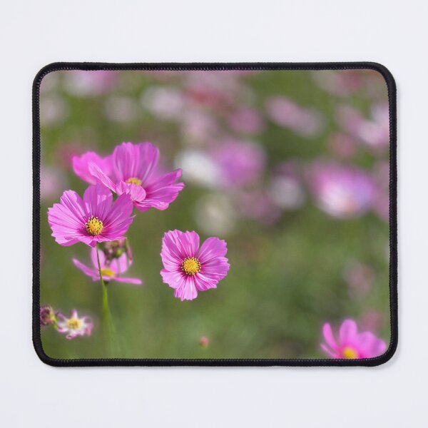 Item preview, Cosmos designed and sold by ILoveMagnolia.