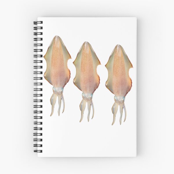 Item preview, Triple Squid HOOK Up! designed and sold by Reelyfishing.