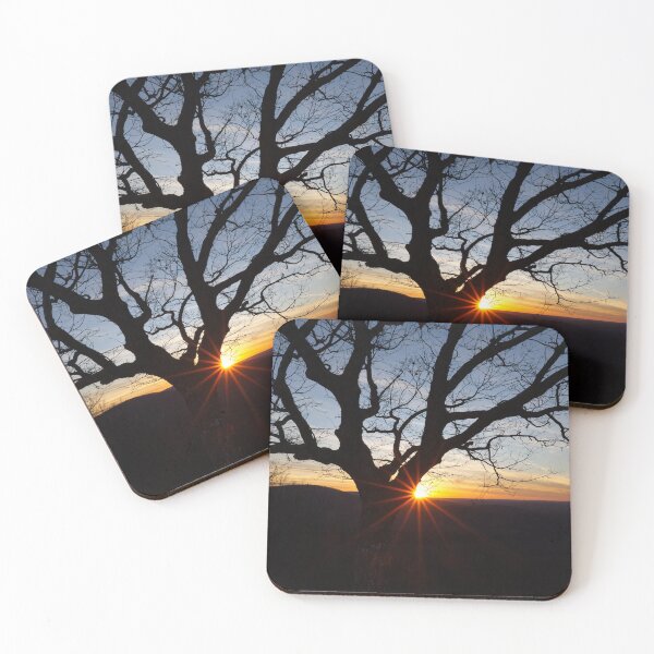 Item preview, Sunset Behind Tree designed and sold by Phil Perkins.