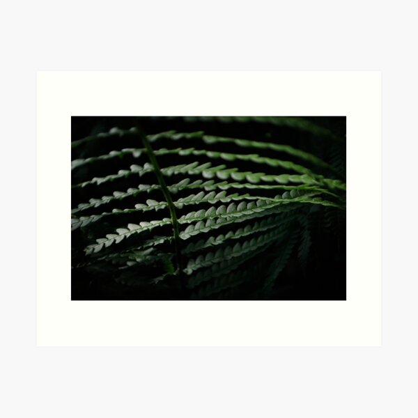 Item preview, fern slates  designed and sold by Jeff stroud.