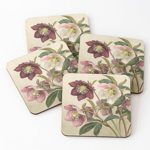 Item preview, Hellebore Flower designed and sold by AntiqueWhiteArt.