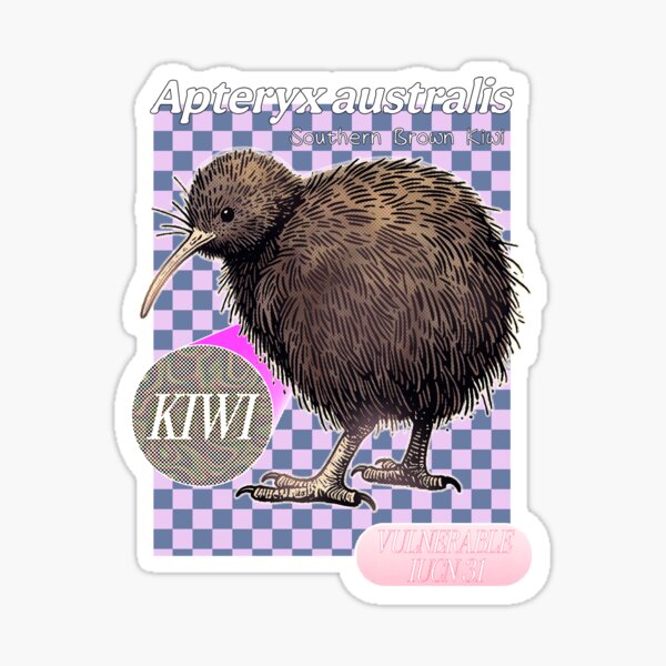 southern brown KIWI BIRD Sticker