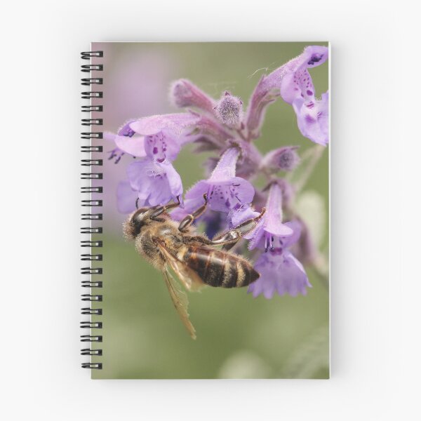 Item preview, Bee on Catmint 2 designed and sold by Tracy Friesen.