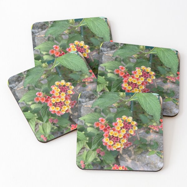 Item preview, LANTANA Yellow and Pink little Flowers designed and sold by Quoppidou.