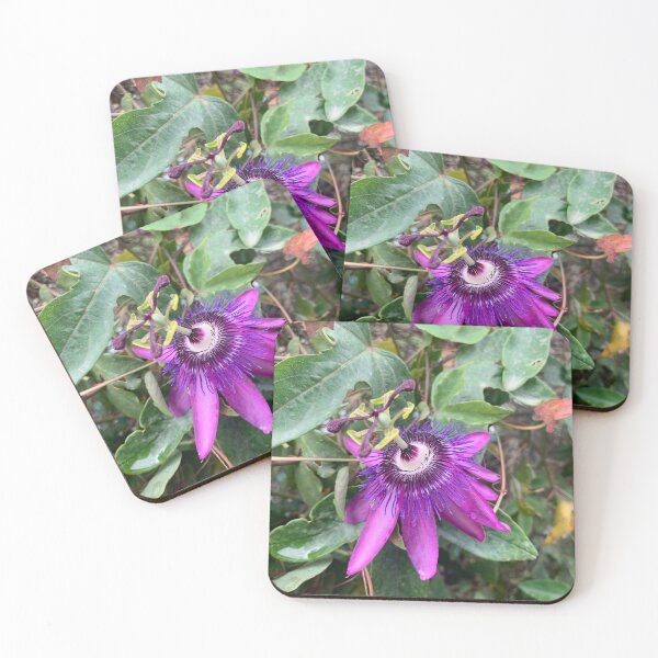 Item preview, Purple Passion Fruit Flower designed and sold by Quoppidou.