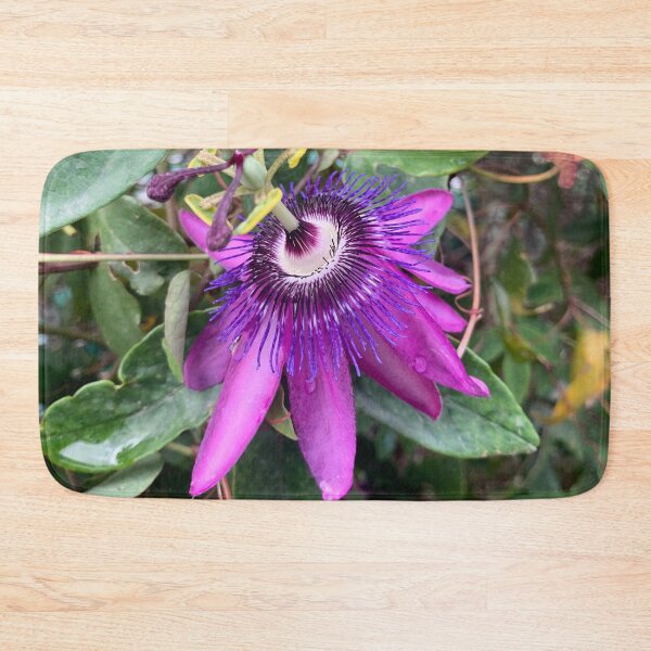 Item preview, Purple Passion Fruit Flower designed and sold by Quoppidou.
