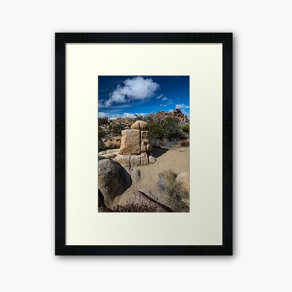 Joshua Tree Hidden Valley Landmark Framed Art Print