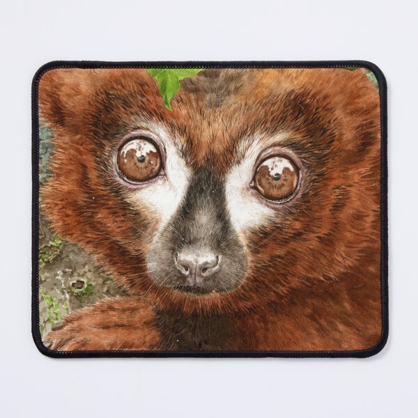 Item preview, Red-bellied lemur, Madagascar designed and sold by olonala-inc.