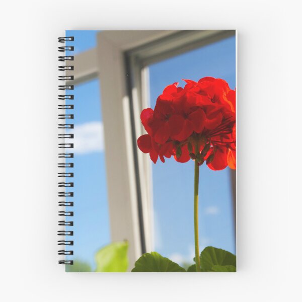 Item preview, Geranio rojo junto a la ventana designed and sold by PixelBirch.