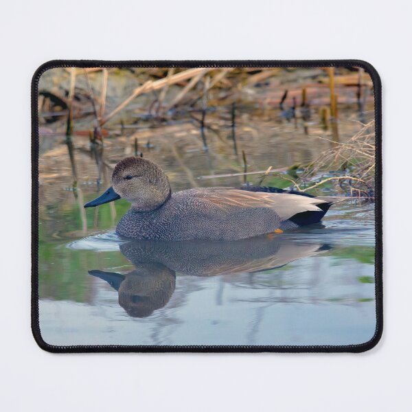 Item preview, Female Gadwall Duck designed and sold by CarolM.