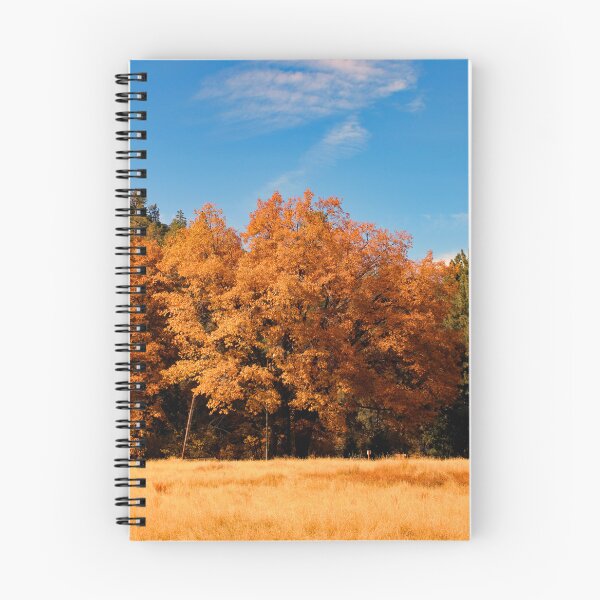 Item preview, Idyllwild - Pine Cove designed and sold by supernova23.