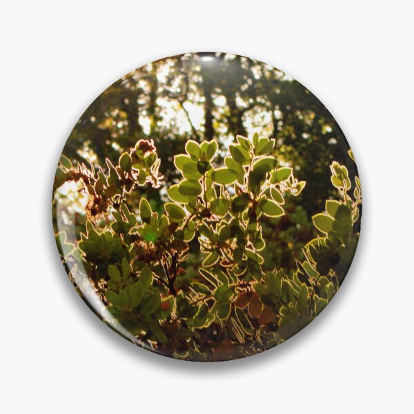 Item preview, Idyllwild - Pine Cove designed and sold by supernova23.