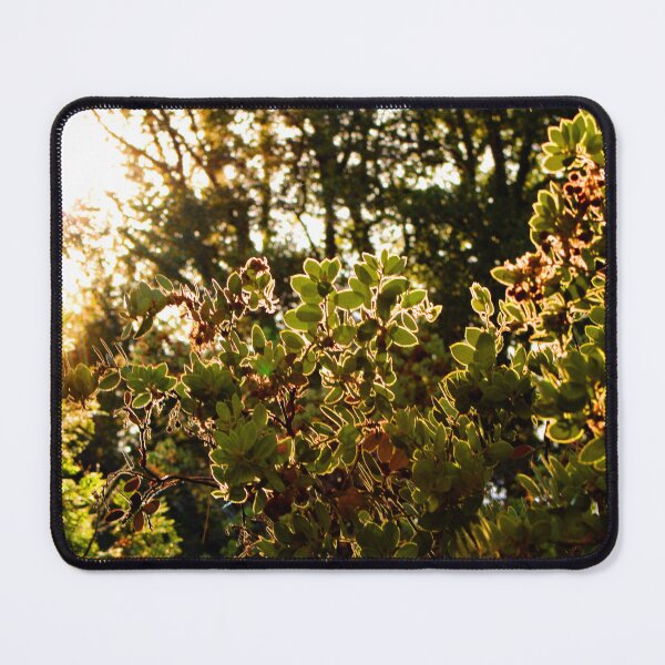 Item preview, Idyllwild - Pine Cove designed and sold by supernova23.