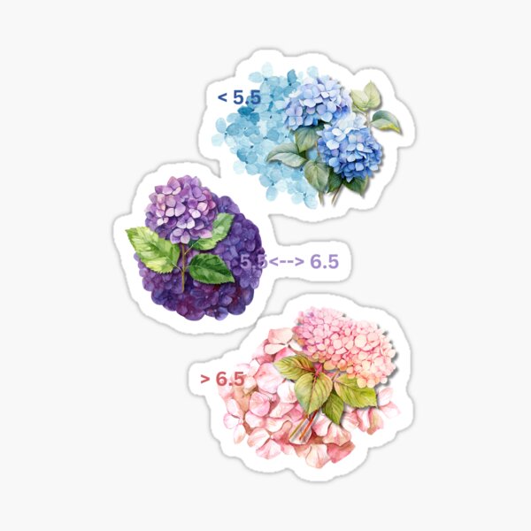 Item preview, Hydrangeas designed and sold by wuffywedpanda.