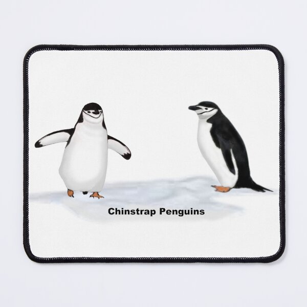 Item preview, Chinstrap Penguins Labeled designed and sold by ArtAndBliss.