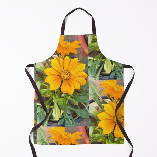 Item preview, Beautiful gazania  designed and sold by Priyanka  Rishi.
