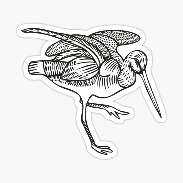 Item preview, Limnodromus scolopaceus bird designed and sold by alina-k-design.