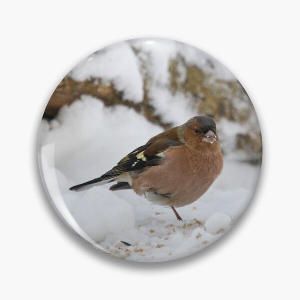 Item preview, Snow and seeds. Eurasian chaffinch designed and sold by Jouko Lehto Photography.