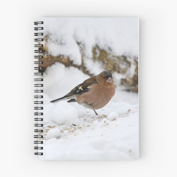 Item preview, Snow and seeds. Eurasian chaffinch designed and sold by Jouko Lehto Photography.