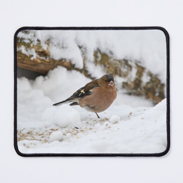 Item preview, Snow and seeds. Eurasian chaffinch designed and sold by Jouko Lehto Photography.
