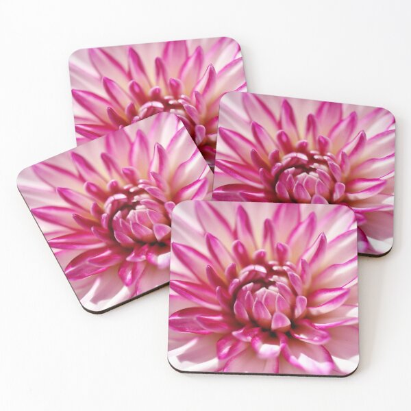 Item preview, An Amazing Pink White Dahlia designed and sold by JonnaHurmerinta.