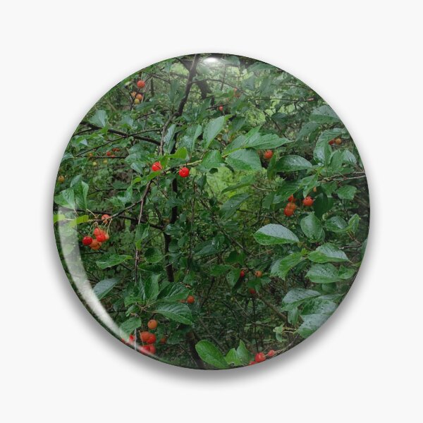 Item preview, Wild Red Cherries in the Woods designed and sold by Quoppidou.