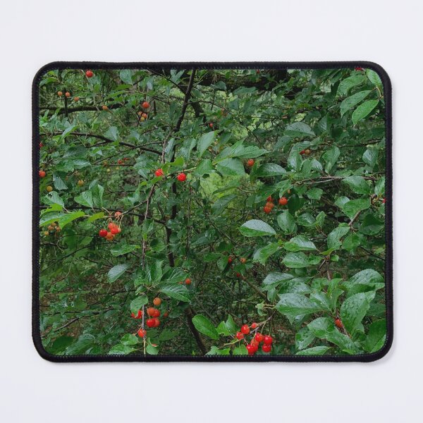 Item preview, Wild Red Cherries in the Woods designed and sold by Quoppidou.