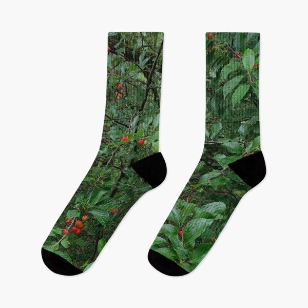 Item preview, Wild Red Cherries in the Woods designed and sold by Quoppidou.