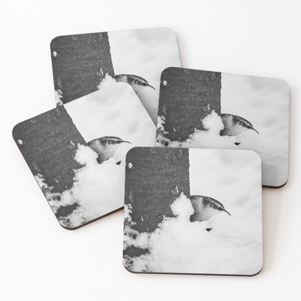 Item preview, What is there. Eurasian treecreeper bw designed and sold by Jouko Lehto Photography.