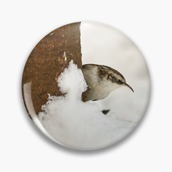 Item preview, What is there. Eurasian treecreeper designed and sold by Jouko Lehto Photography.