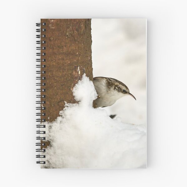 Item preview, What is there. Eurasian treecreeper designed and sold by Jouko Lehto Photography.