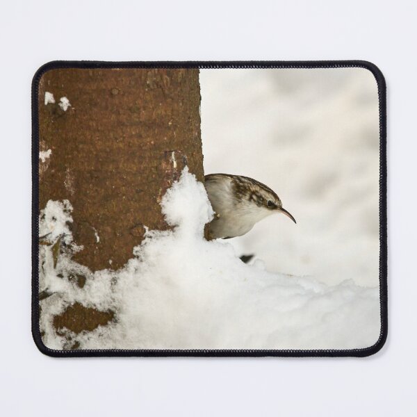 Item preview, What is there. Eurasian treecreeper designed and sold by Jouko Lehto Photography.