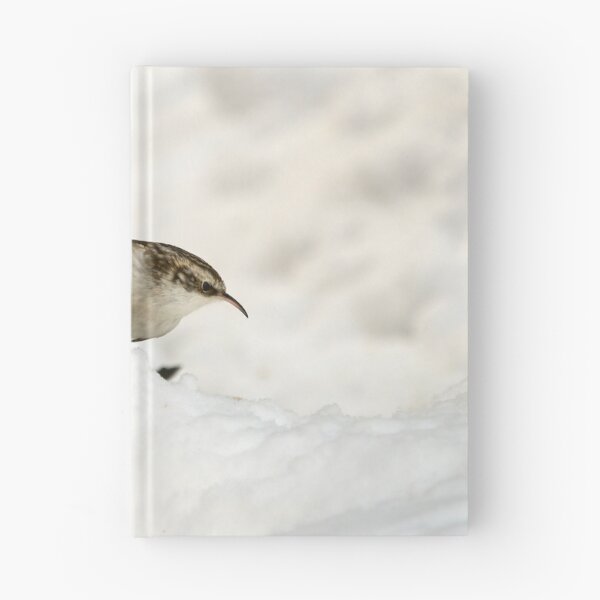 Item preview, What is there. Eurasian treecreeper designed and sold by Jouko Lehto Photography.