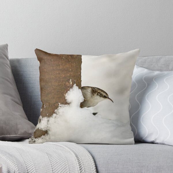 Item preview, What is there. Eurasian treecreeper designed and sold by Jouko Lehto Photography.