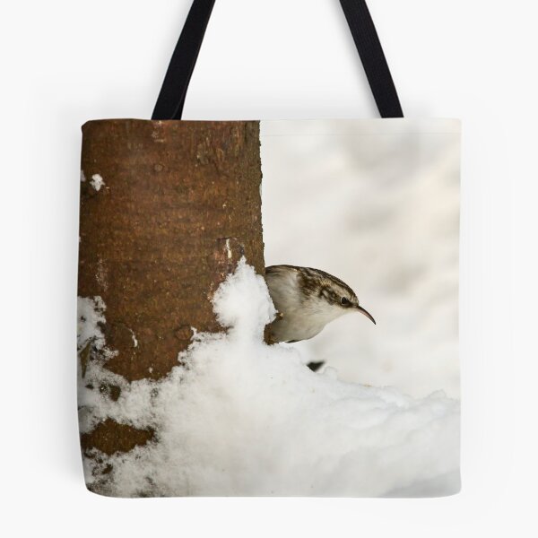 Item preview, What is there. Eurasian treecreeper designed and sold by Jouko Lehto Photography.