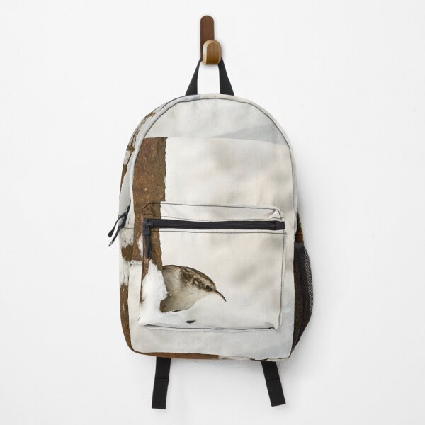Item preview, What is there. Eurasian treecreeper designed and sold by Jouko Lehto Photography.