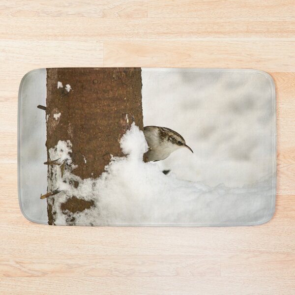 Item preview, What is there. Eurasian treecreeper designed and sold by Jouko Lehto Photography.