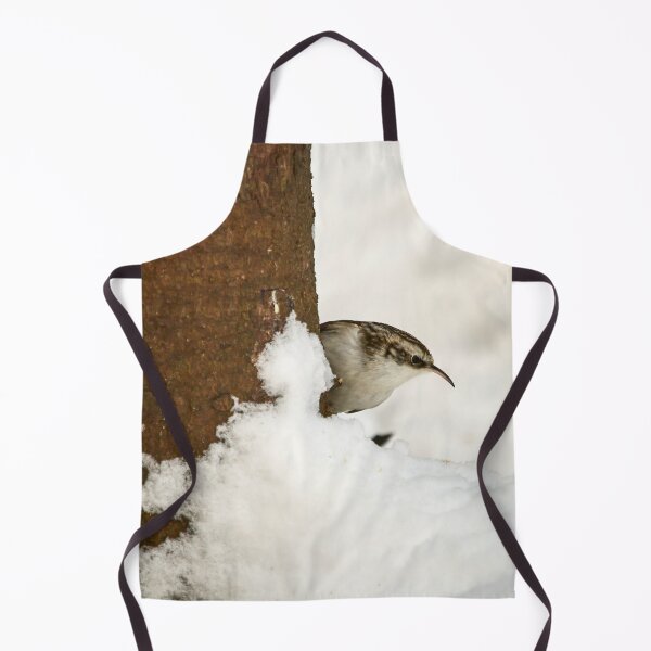 Item preview, What is there. Eurasian treecreeper designed and sold by Jouko Lehto Photography.