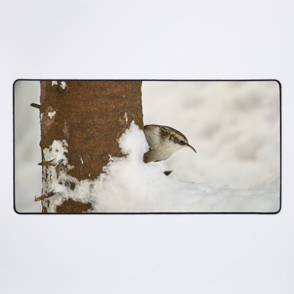 Item preview, What is there. Eurasian treecreeper designed and sold by Jouko Lehto Photography.