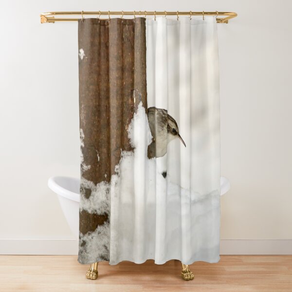 Item preview, What is there. Eurasian treecreeper designed and sold by Jouko Lehto Photography.
