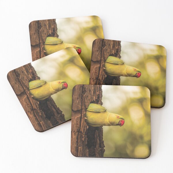 Item preview, Rose-ringed parakeet, Parrot designed and sold by abhibagaria.