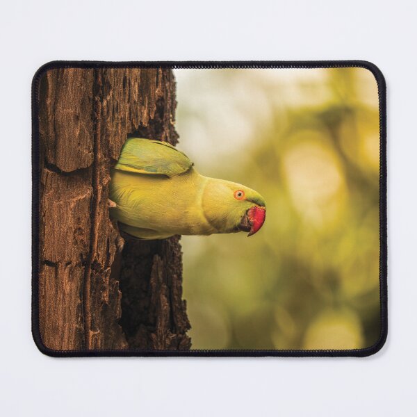 Item preview, Rose-ringed parakeet, Parrot designed and sold by abhibagaria.