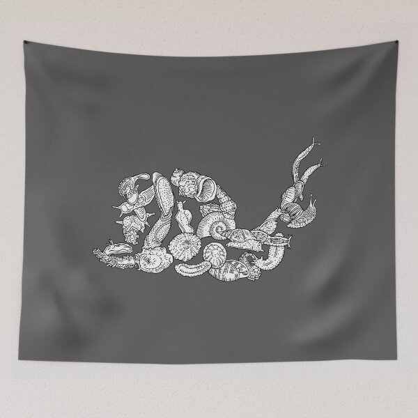 Item preview, Heterobranchia (a class of gastropods) - Snails, Slugs - Evolution designed and sold by EvolutionPoster.